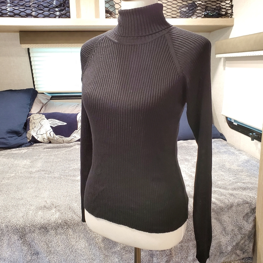 HP🎉🎉🎉 Ann Taylor Silk Turtleneck Sweater